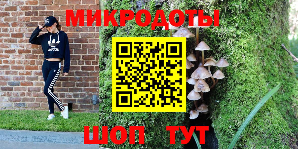 Междуреченск  Псилоцибиновые грибы Psilocybe  Вход с VPN  Галлюциногенные грибы мухоморы 