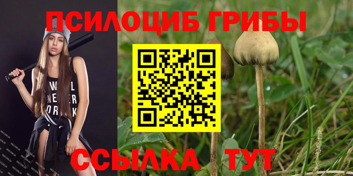 Галлюциногенные грибы Magic Shrooms Междуреченск